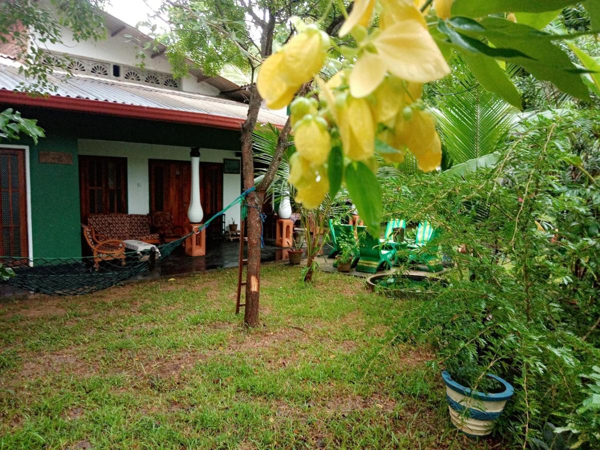 Sigiriya Village Home Stay Buitenkant foto