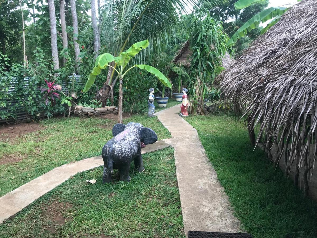 Sigiriya Village Home Stay Buitenkant foto