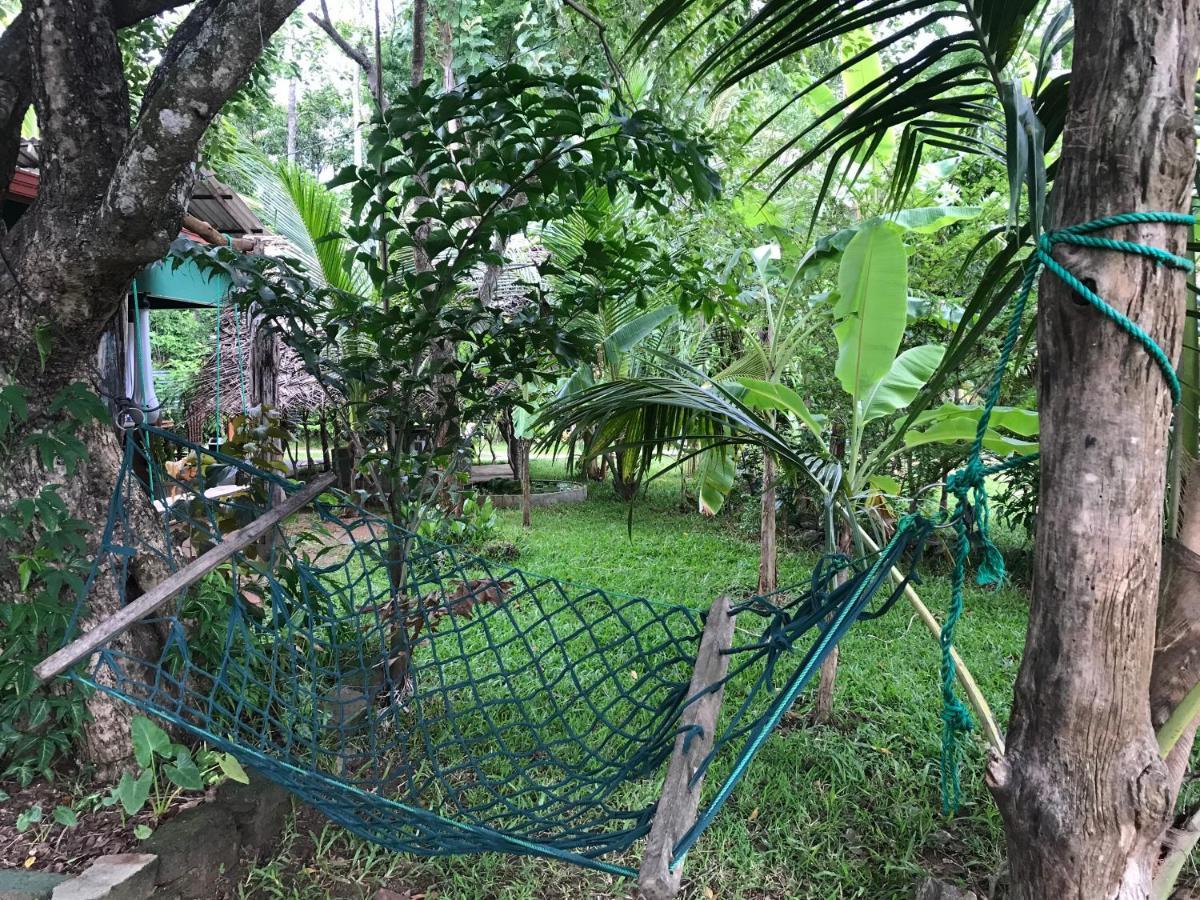 Sigiriya Village Home Stay Buitenkant foto