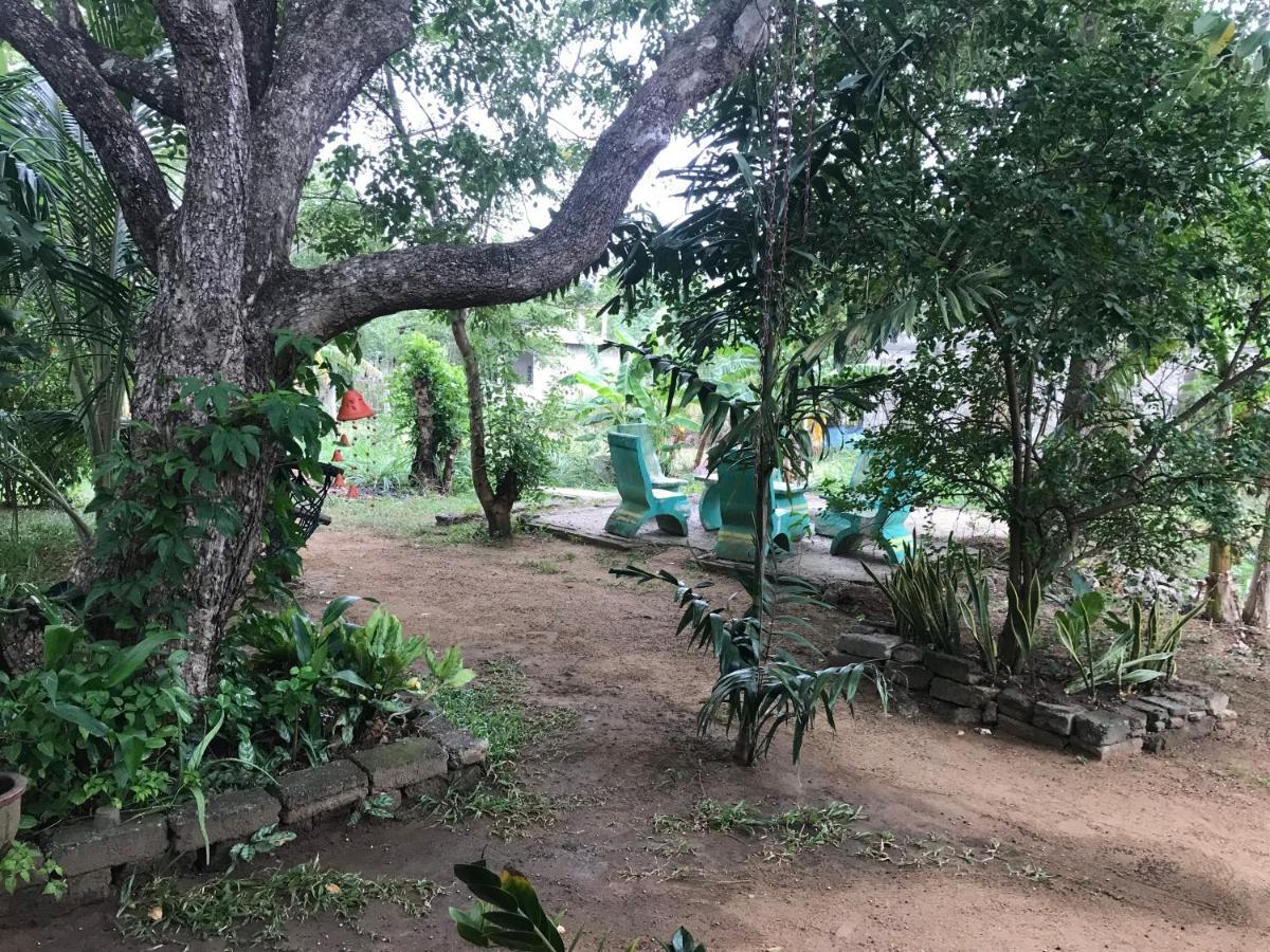 Sigiriya Village Home Stay Buitenkant foto
