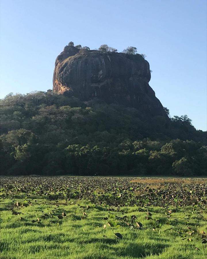 Sigiriya Village Home Stay Buitenkant foto