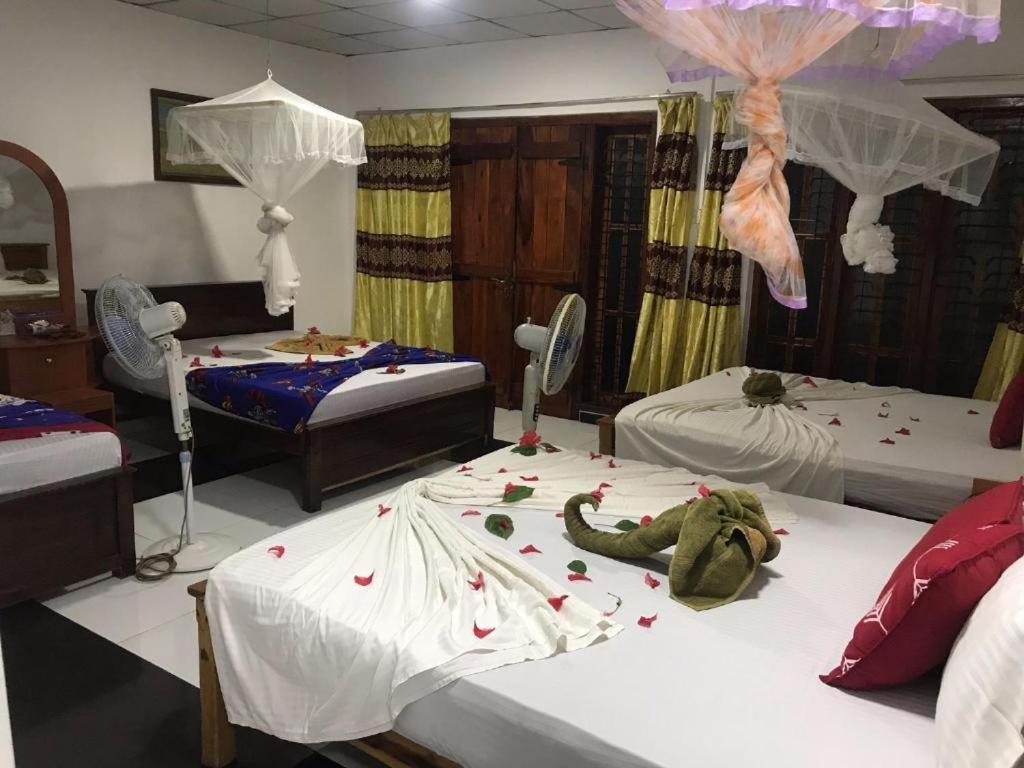 Sigiriya Village Home Stay Buitenkant foto